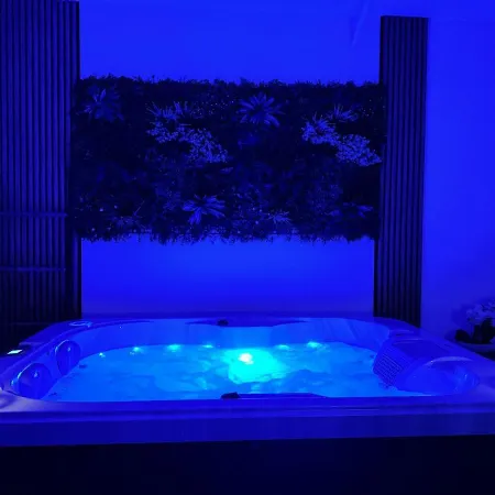 Jacuzzi Val D'oise Paris *